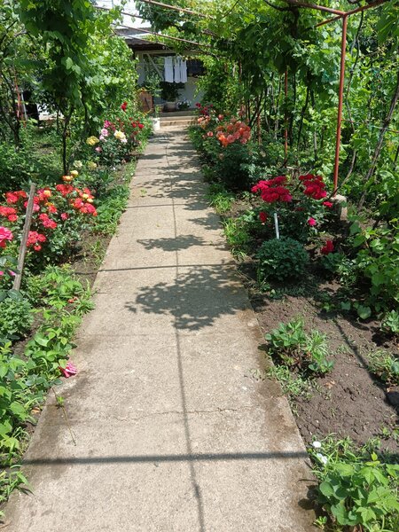 Sat Vartopu, oras Corabia, judetul Olt.